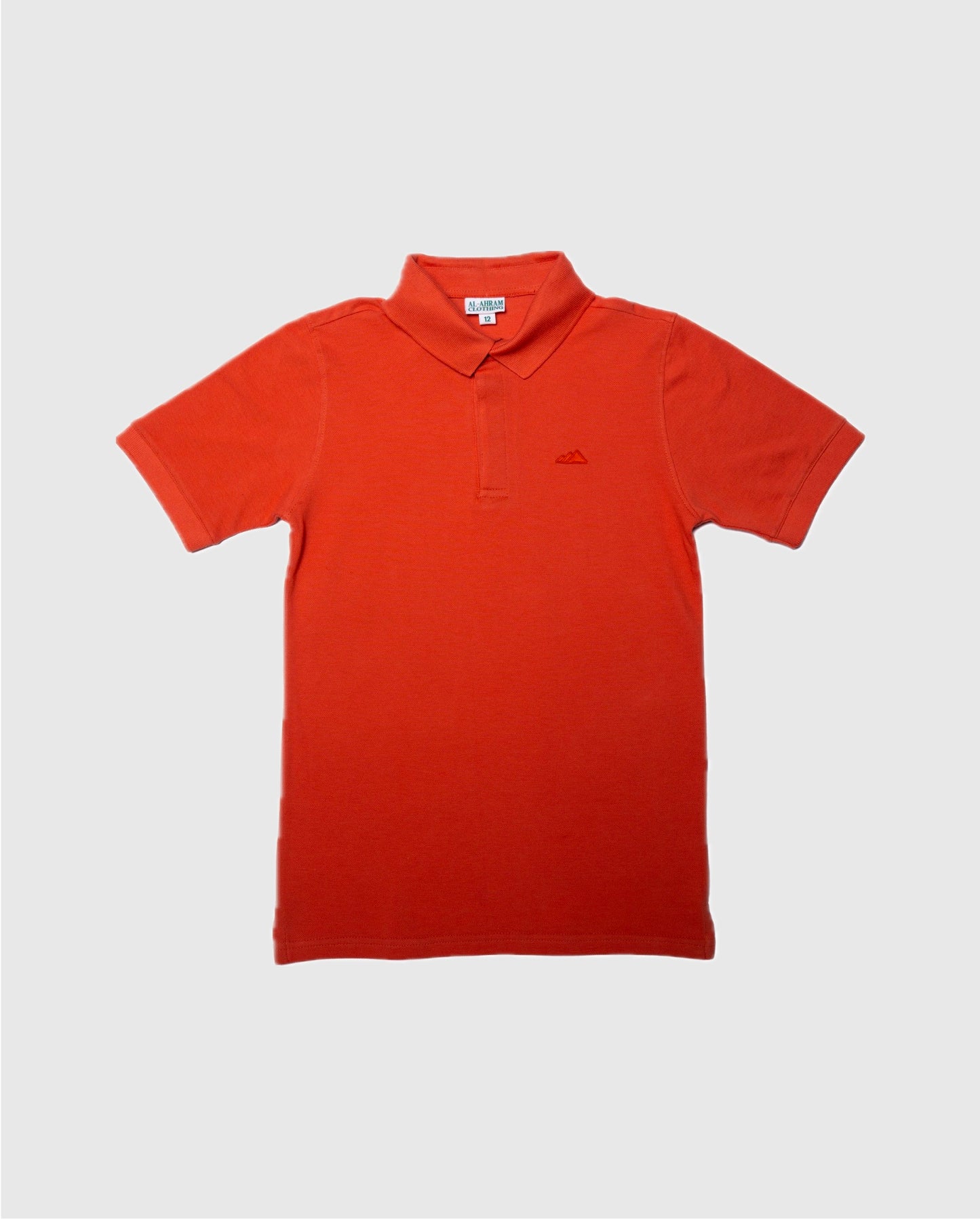 Boy's Pique Half Sleeve Polo in Brick Orange