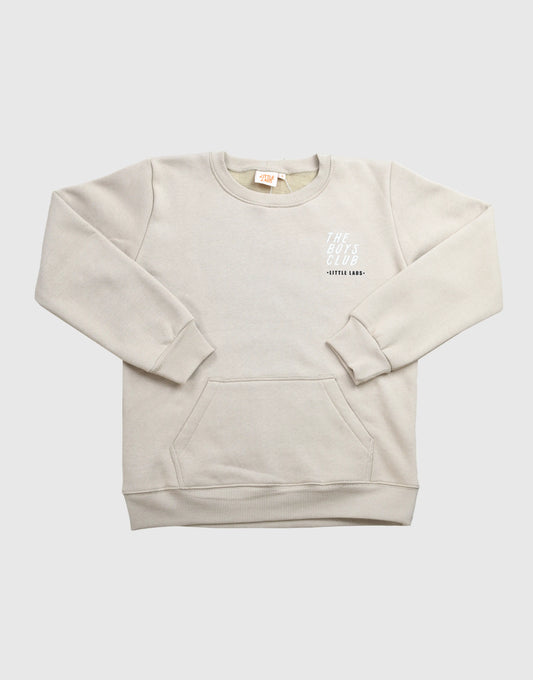 Boy's crew neck sweatshirt in Beige